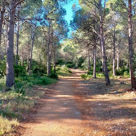 La Mallada San Jorge  Εξωτερικό φωτογραφία