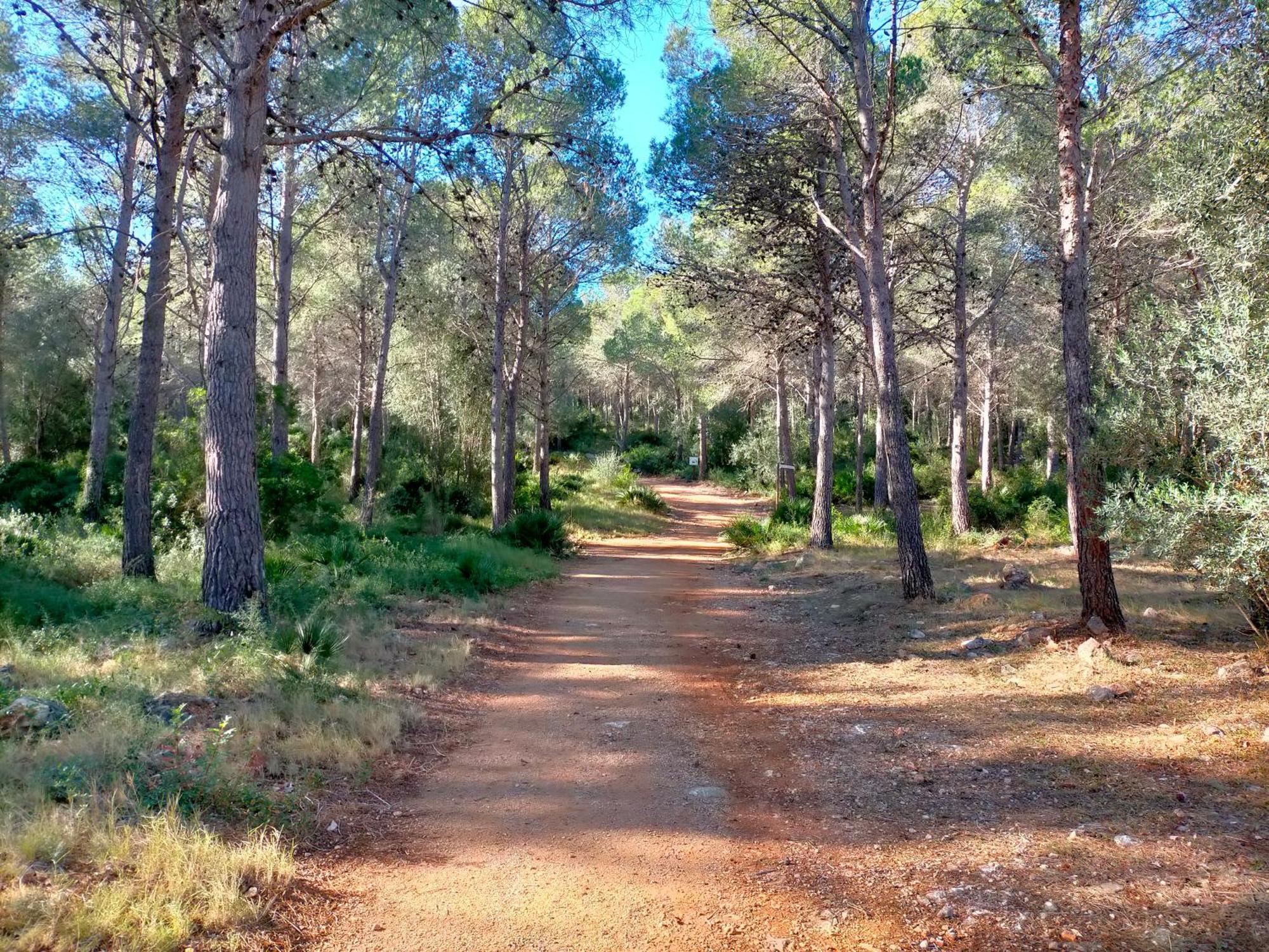 La Mallada San Jorge  Εξωτερικό φωτογραφία